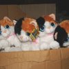 Партию контрафактных игрушек изъяли новосибирские таможенники