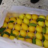 Таможенники и пограничники вернули в Казахстан 4 тонны незаконно ввезенных лимонов