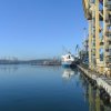 В зоне деятельности таможенного поста Морской порт Ванино появится новый резидент Свободного порта