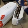 92 килограмма  кукумарии незаконно пытались вывезти из России