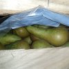 60 тонн польских груш задержали в Смоленской области