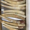 Попытка незаконного вывоза клыков моржа: пассажиру грозит до 5 лет тюрьмы